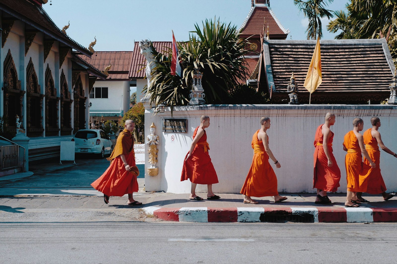 A line of monks in orange robes walking past a white temple wall in Chiang Mai on a sunny morning